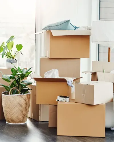 Moving boxes