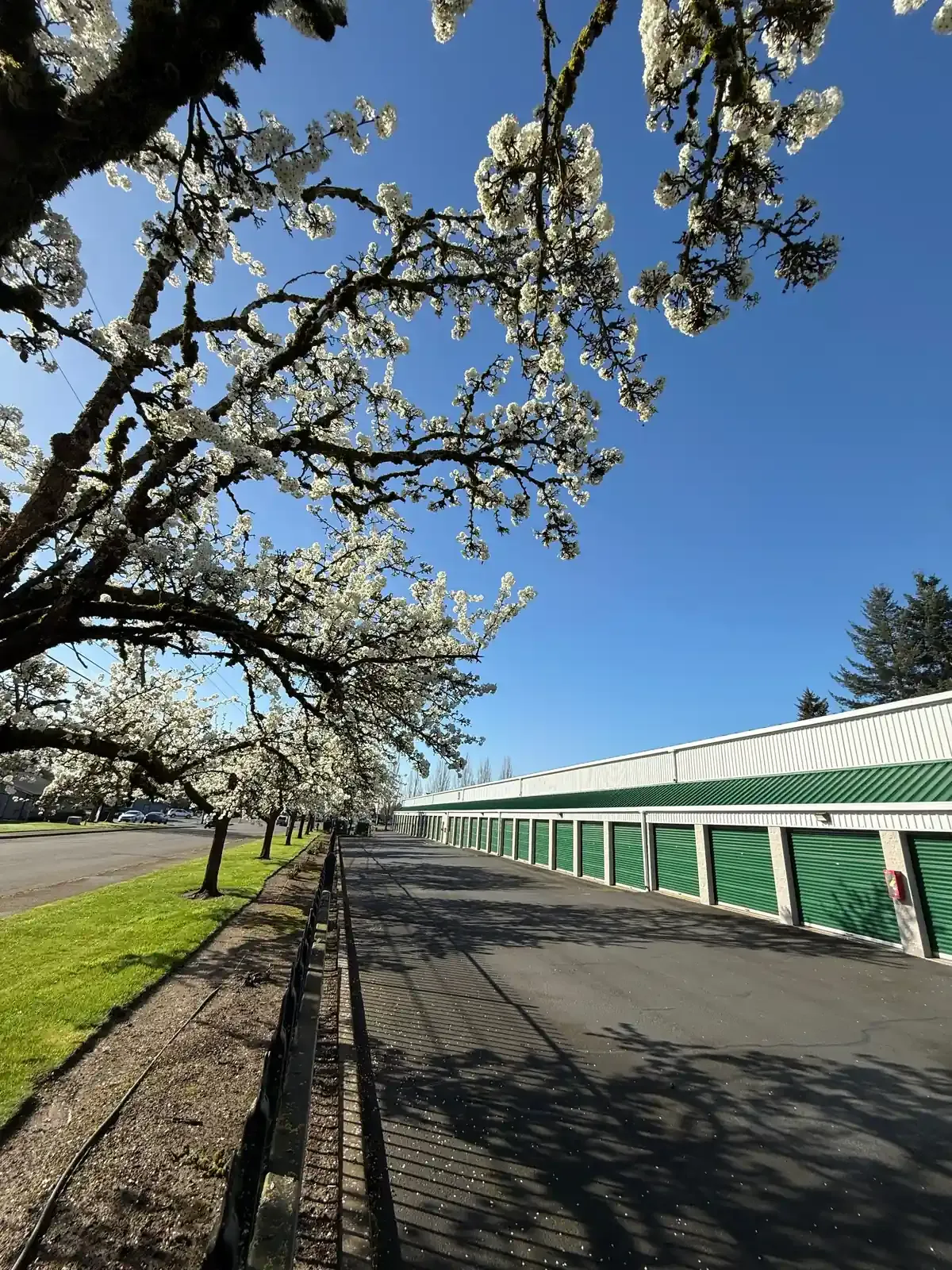 Storage units