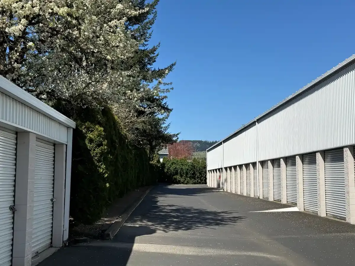 Drive up storage units