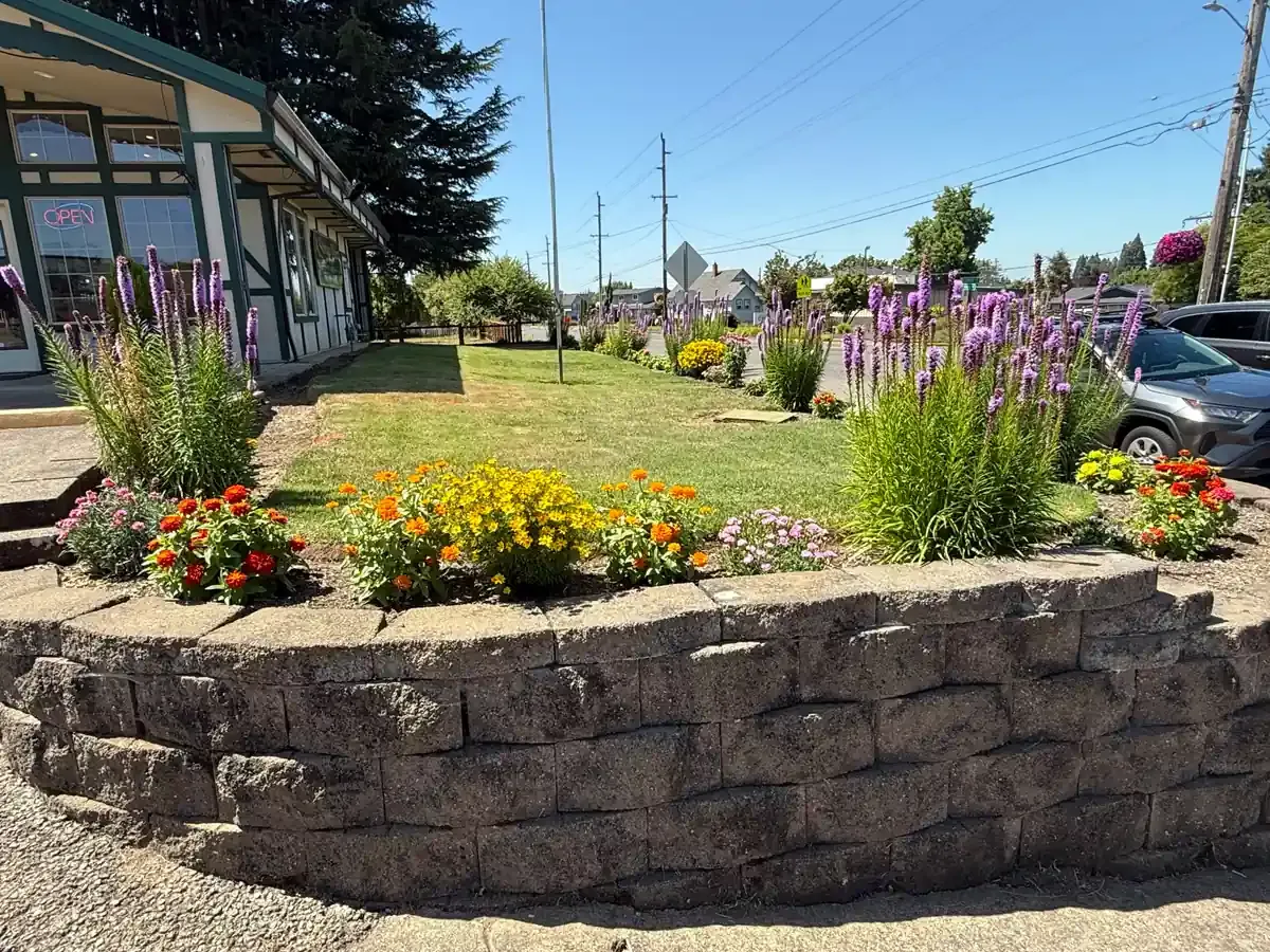 ASP landscaping